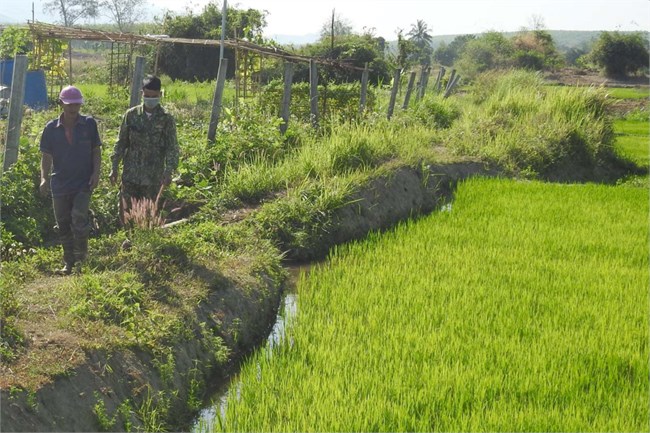 Kon Tum: Giảm thiểu thiệt hại trong sản xuất nông nghiệp giai đoạn cuối mùa khô (10/3/2023)